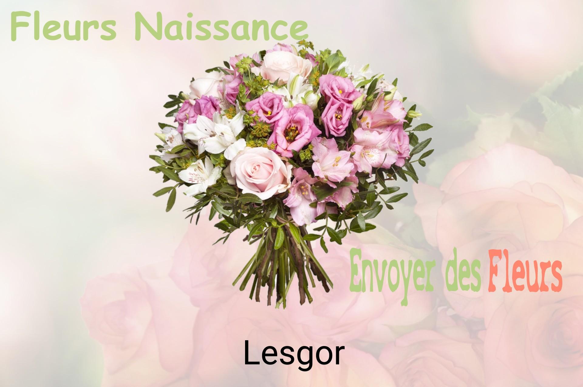 Bouquet de fleurs de naissance livré à Lesgor