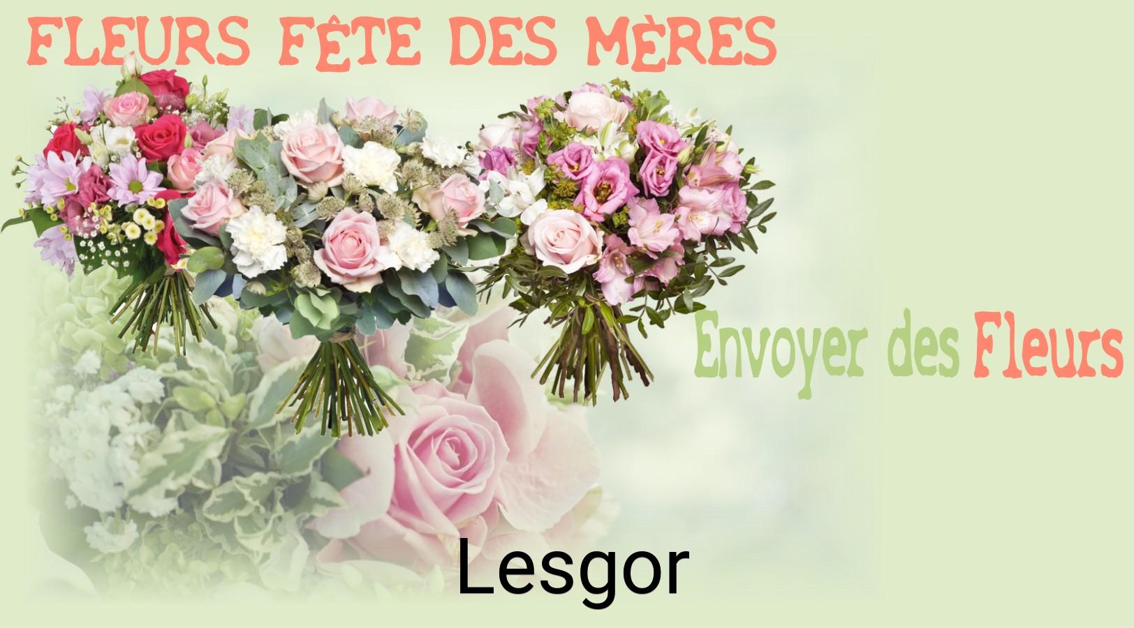 Bouquet de Fête des Mères livré à Lesgor