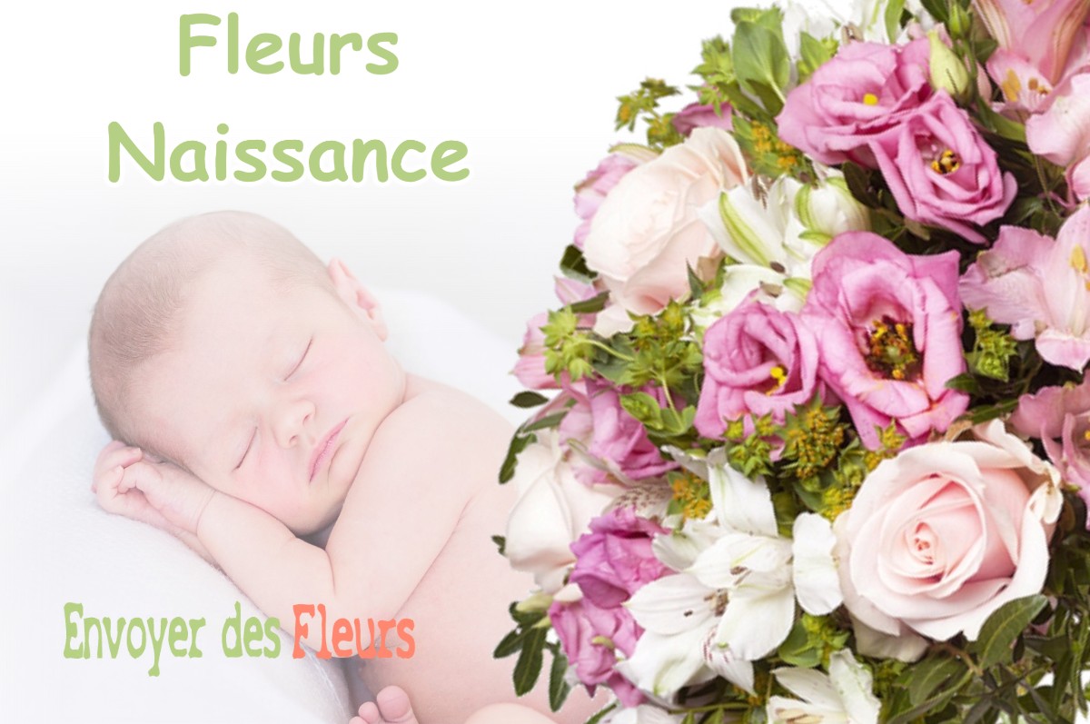 lIVRAISON FLEURS NAISSANCE à LESGOR